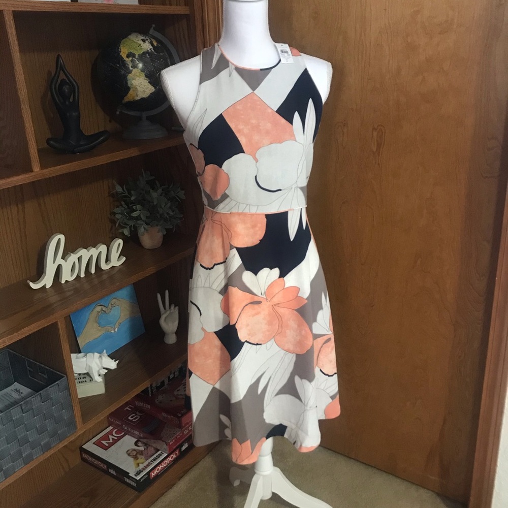 NWT beautiful and classy size 2 Ann Taylor dress